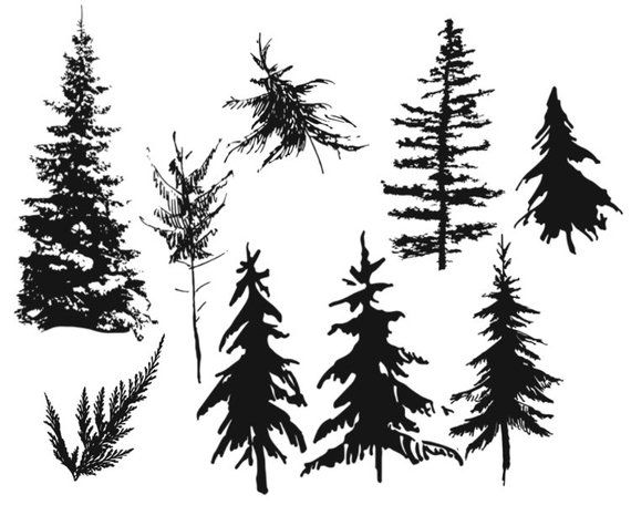 Detail Pine Tree Brushes Photoshop Nomer 3