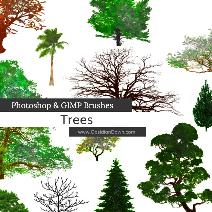 Detail Pine Tree Brushes Photoshop Nomer 22