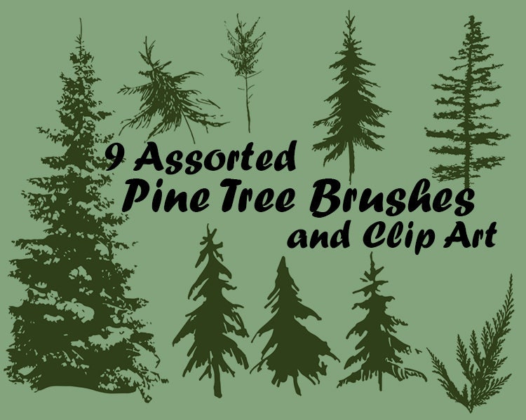 Detail Pine Tree Brushes Photoshop Nomer 4