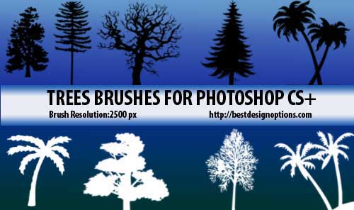 Detail Pine Tree Brushes Photoshop Nomer 29