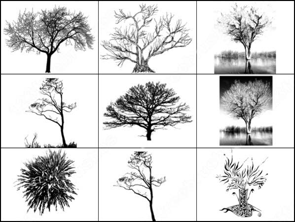 Detail Pine Tree Brushes Photoshop Nomer 44