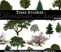 Detail Pine Tree Brushes Photoshop Nomer 54