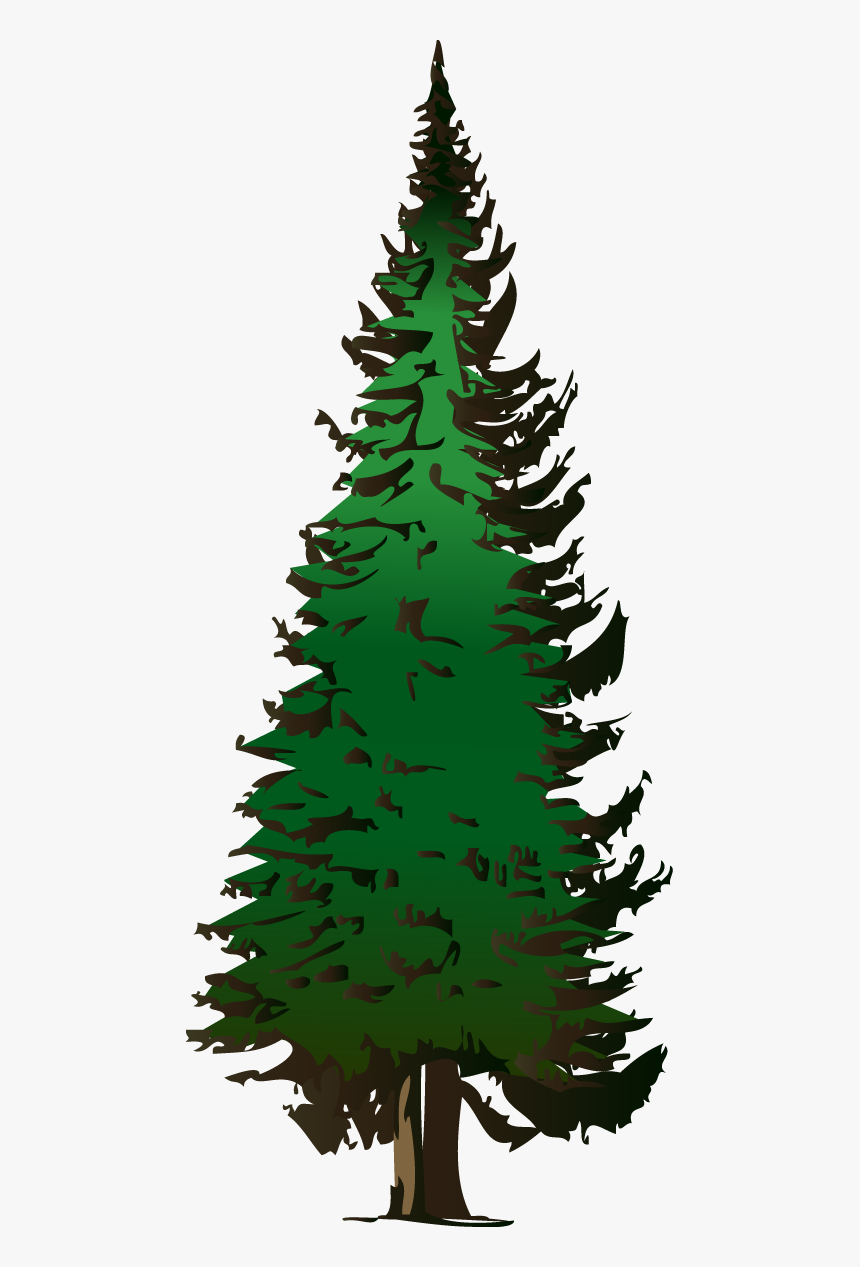 Detail Pine Tree Clipart Nomer 9