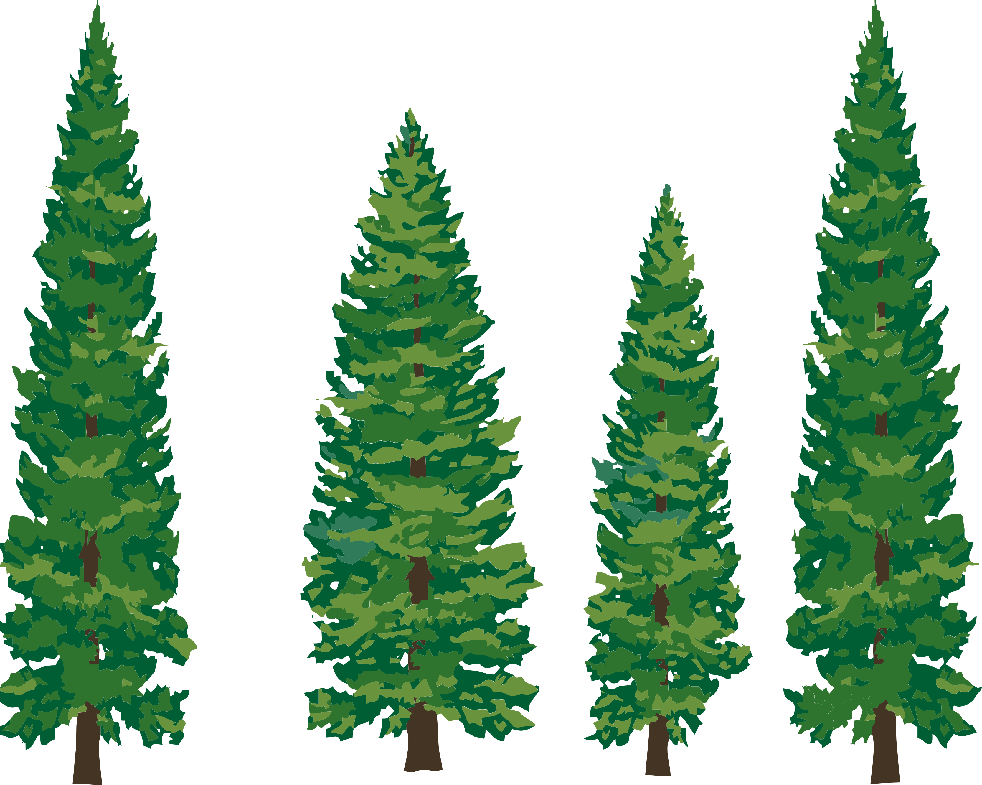 Detail Pine Tree Clipart Nomer 14