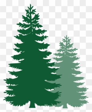 Detail Pine Tree Clipart Nomer 17