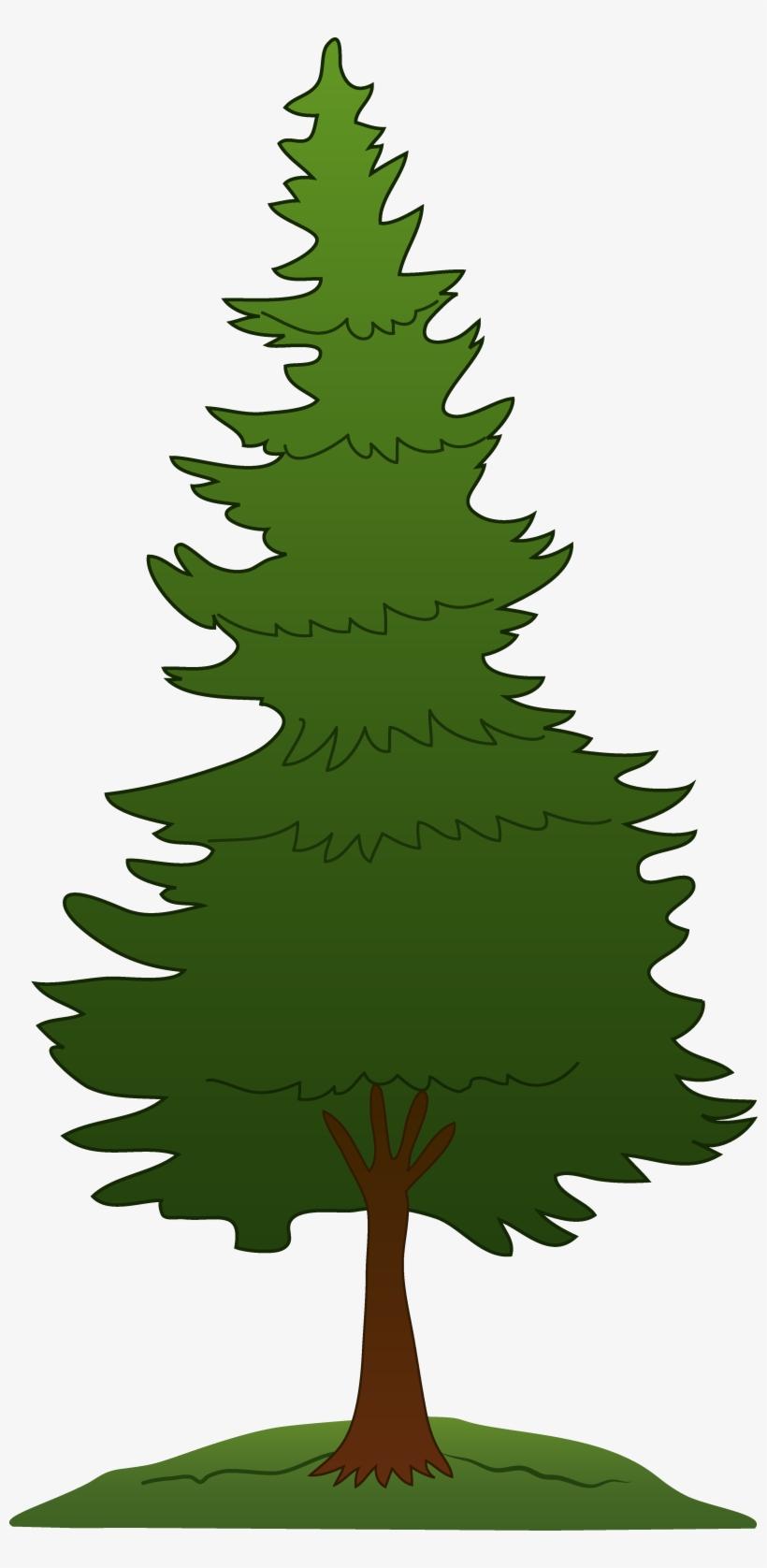 Detail Pine Tree Clipart Nomer 22