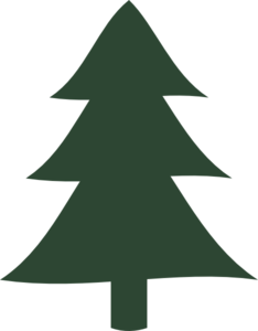 Detail Pine Tree Clipart Nomer 23