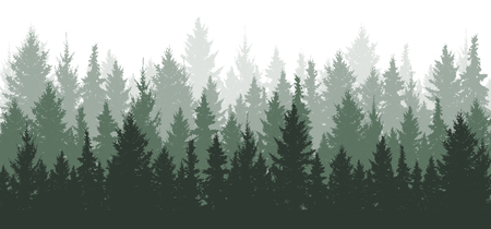 Detail Pine Tree Clipart Nomer 25