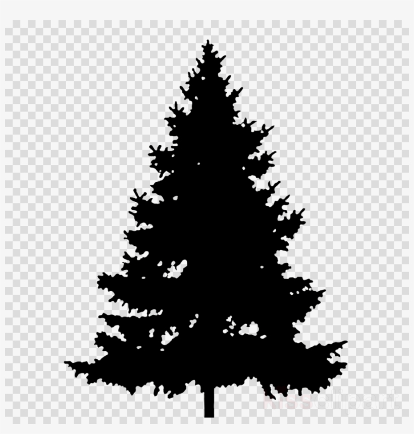 Detail Pine Tree Clipart Nomer 27