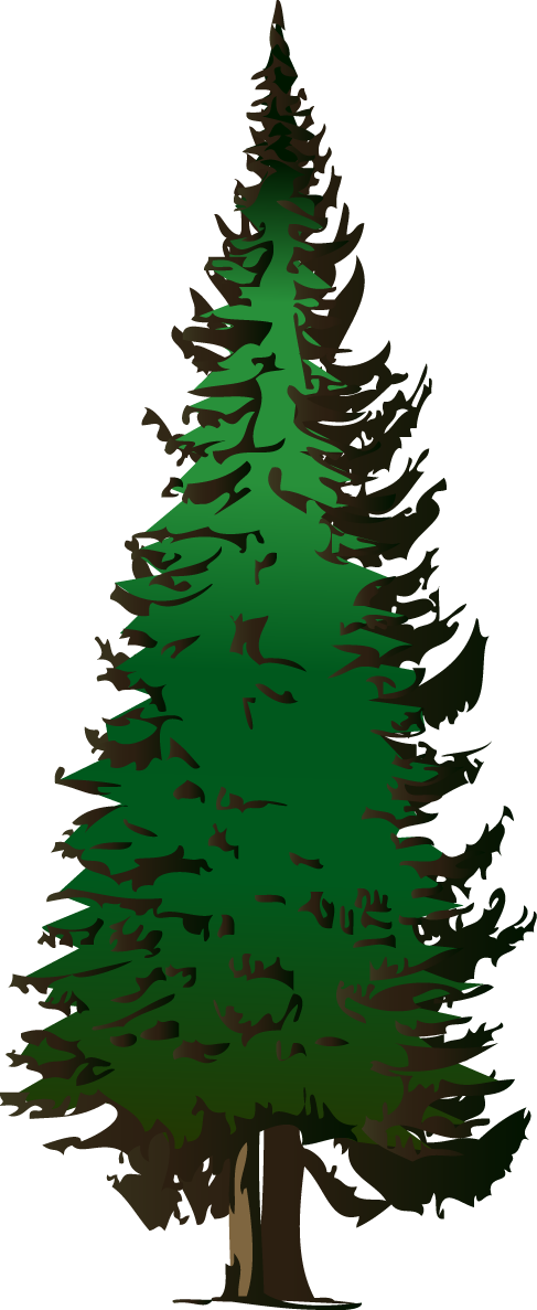 Detail Pine Tree Clipart Nomer 32