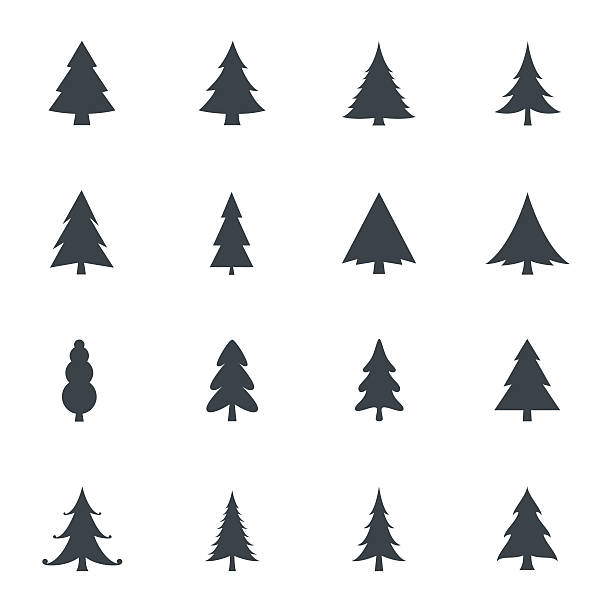 Detail Pine Tree Clipart Nomer 33