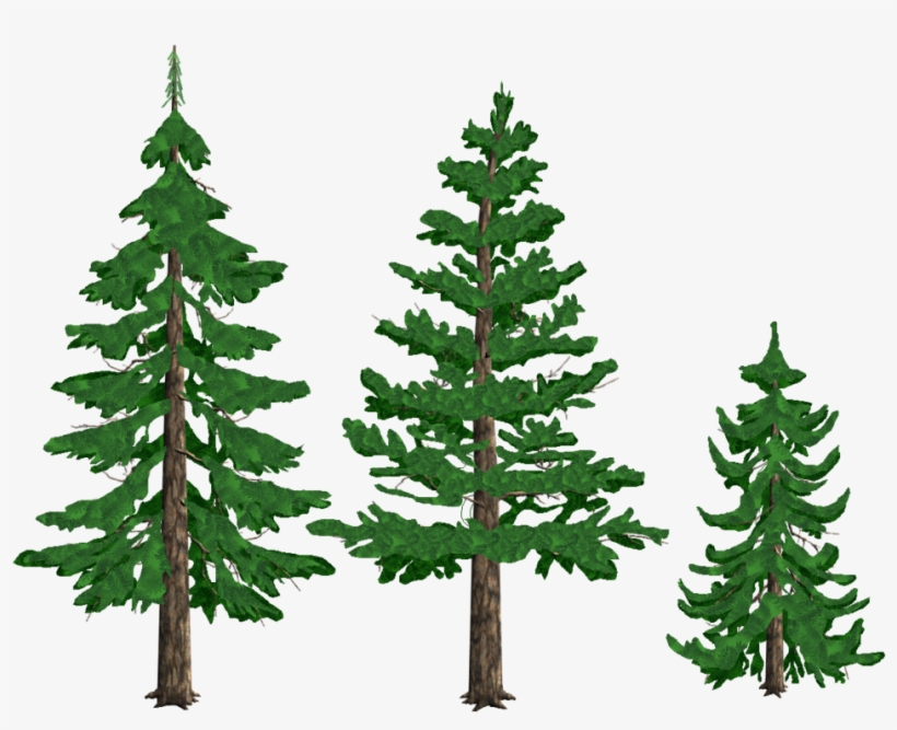 Detail Pine Tree Clipart Nomer 34