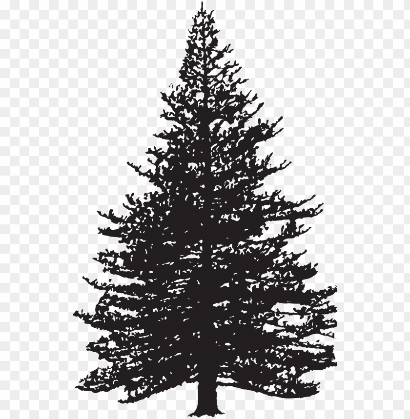 Detail Pine Tree Clipart Nomer 39