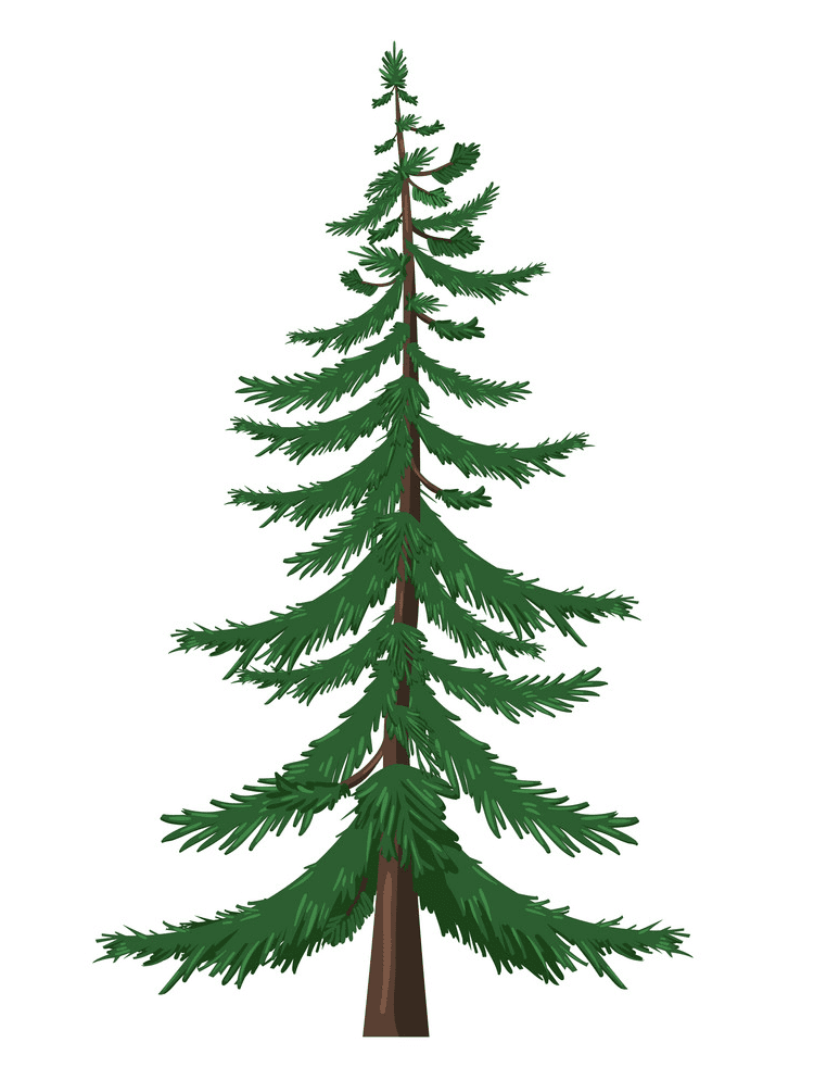 Detail Pine Tree Clipart Nomer 40
