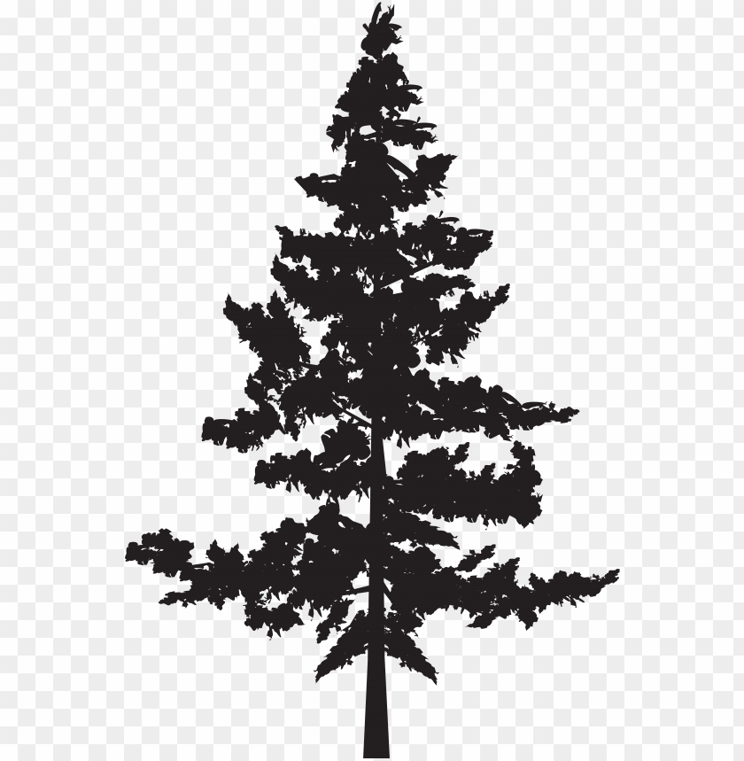 Detail Pine Tree Clipart Nomer 42