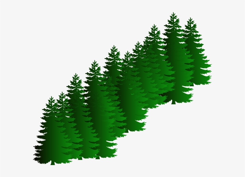 Detail Pine Tree Clipart Nomer 43