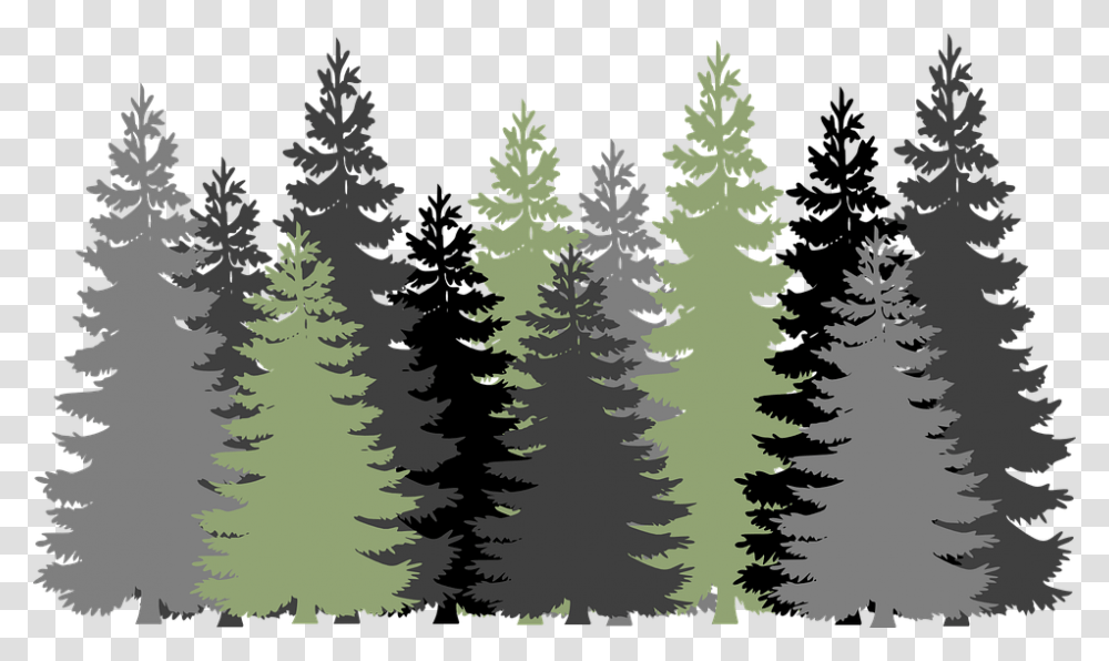 Detail Pine Tree Clipart Nomer 49