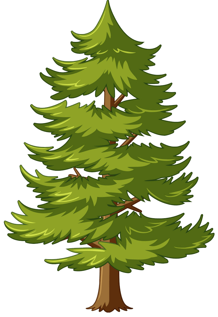 Detail Pine Tree Clipart Nomer 5