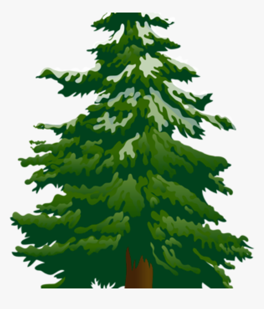 Detail Pine Tree Clipart Nomer 6