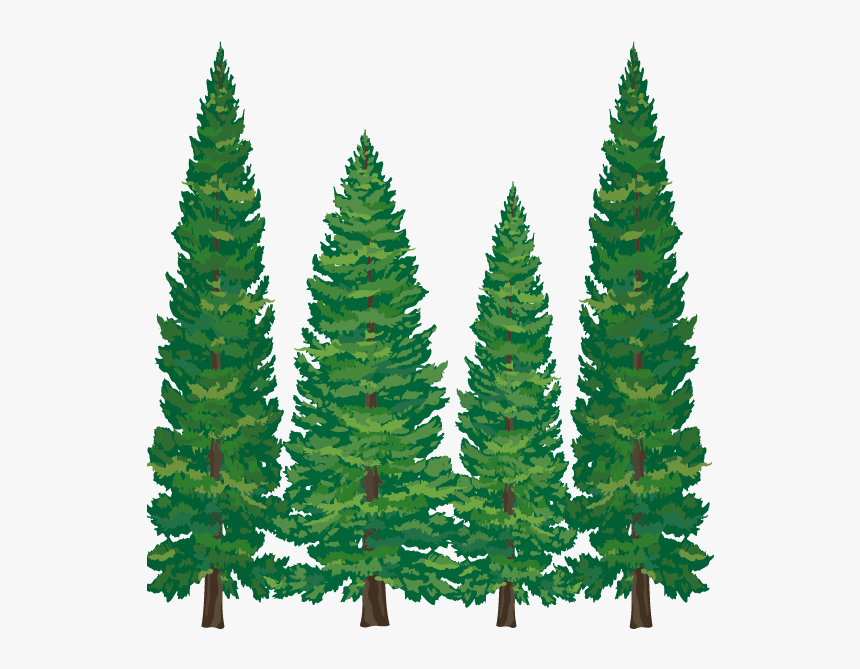 Detail Pine Tree Clipart Nomer 8