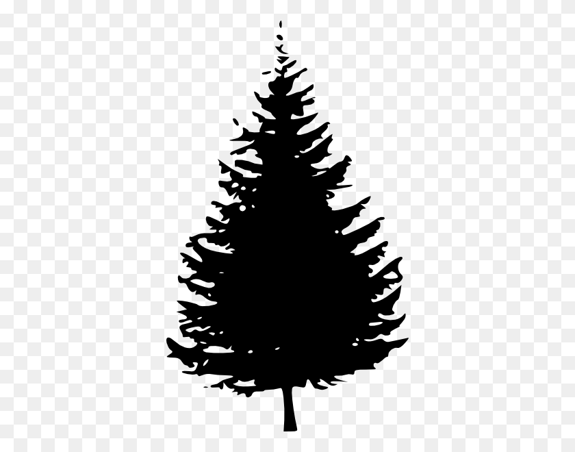 Detail Pine Tree Clipart Black And White Nomer 13