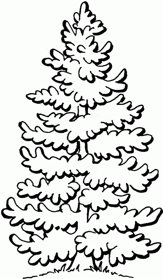 Detail Pine Tree Clipart Black And White Nomer 17