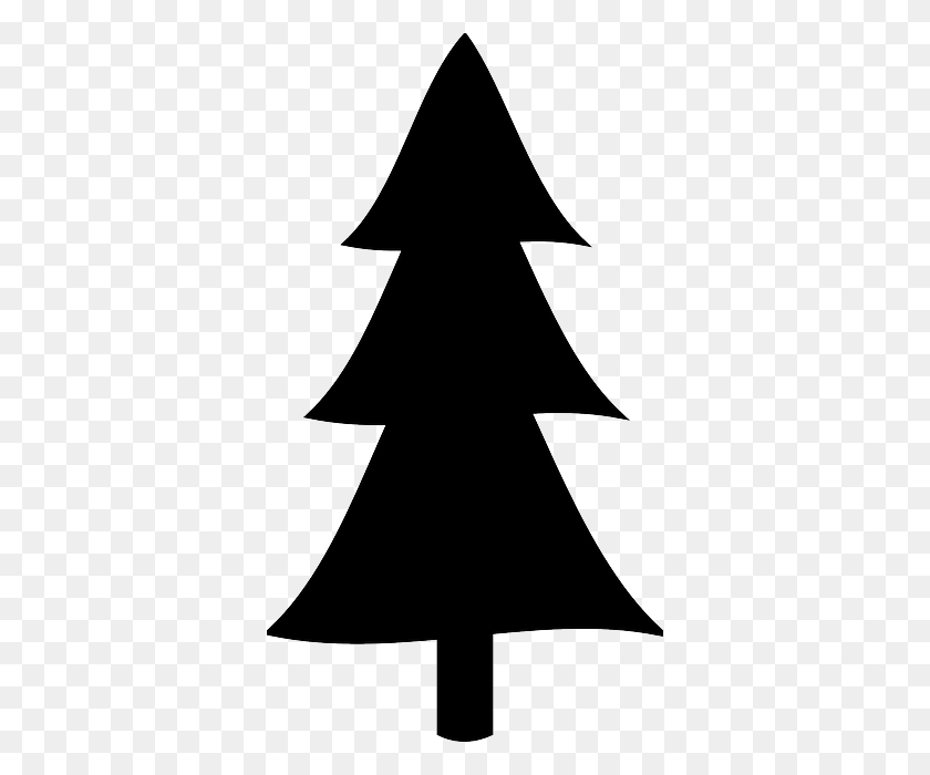 Detail Pine Tree Clipart Black And White Nomer 21