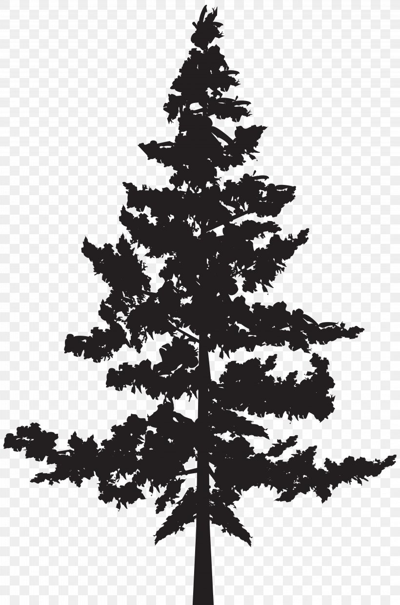 Detail Pine Tree Clipart Black And White Nomer 27