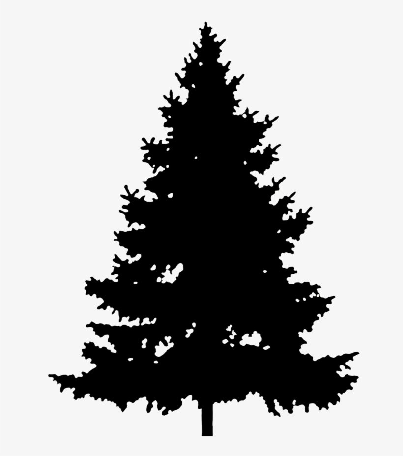 Detail Pine Tree Clipart Black And White Nomer 29