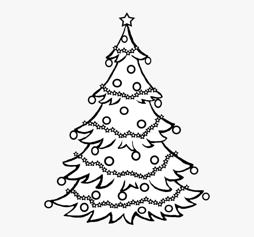 Detail Pine Tree Clipart Black And White Nomer 30