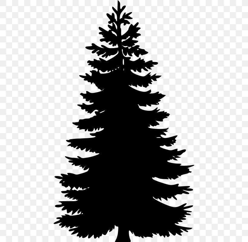 Detail Pine Tree Clipart Black And White Nomer 33