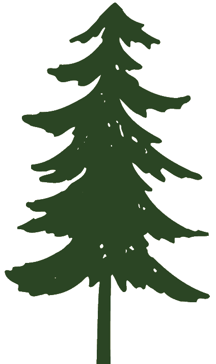 Detail Pine Tree Clipart Black And White Nomer 34