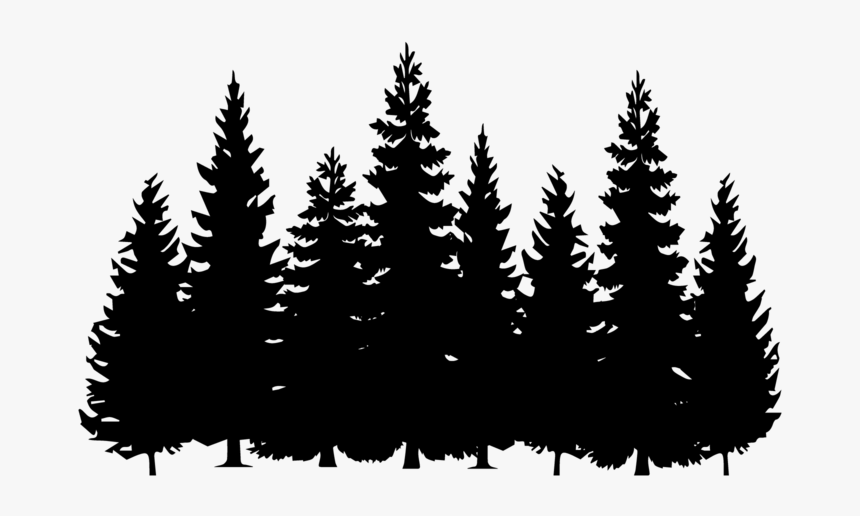 Detail Pine Tree Clipart Black And White Nomer 4
