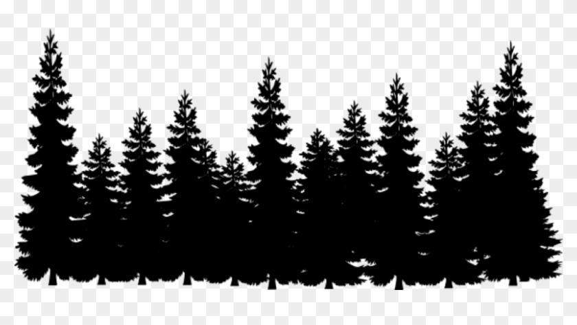 Detail Pine Tree Clipart Black And White Nomer 36