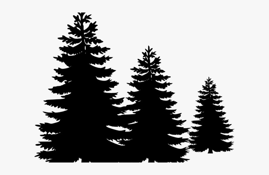 Detail Pine Tree Clipart Black And White Nomer 37