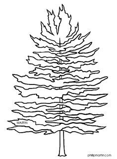 Detail Pine Tree Clipart Black And White Nomer 39