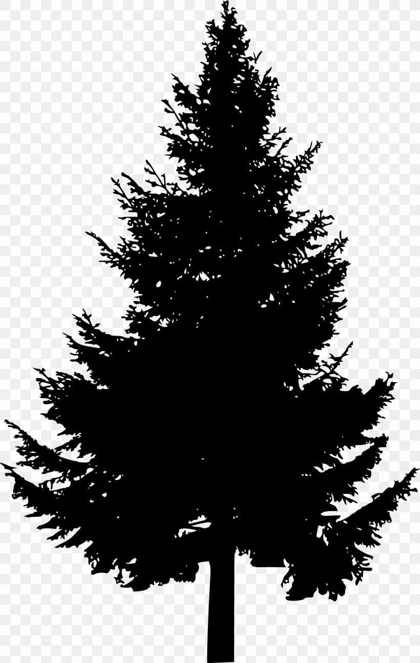 Detail Pine Tree Clipart Black And White Nomer 41