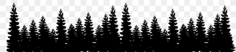 Detail Pine Tree Clipart Black And White Nomer 42