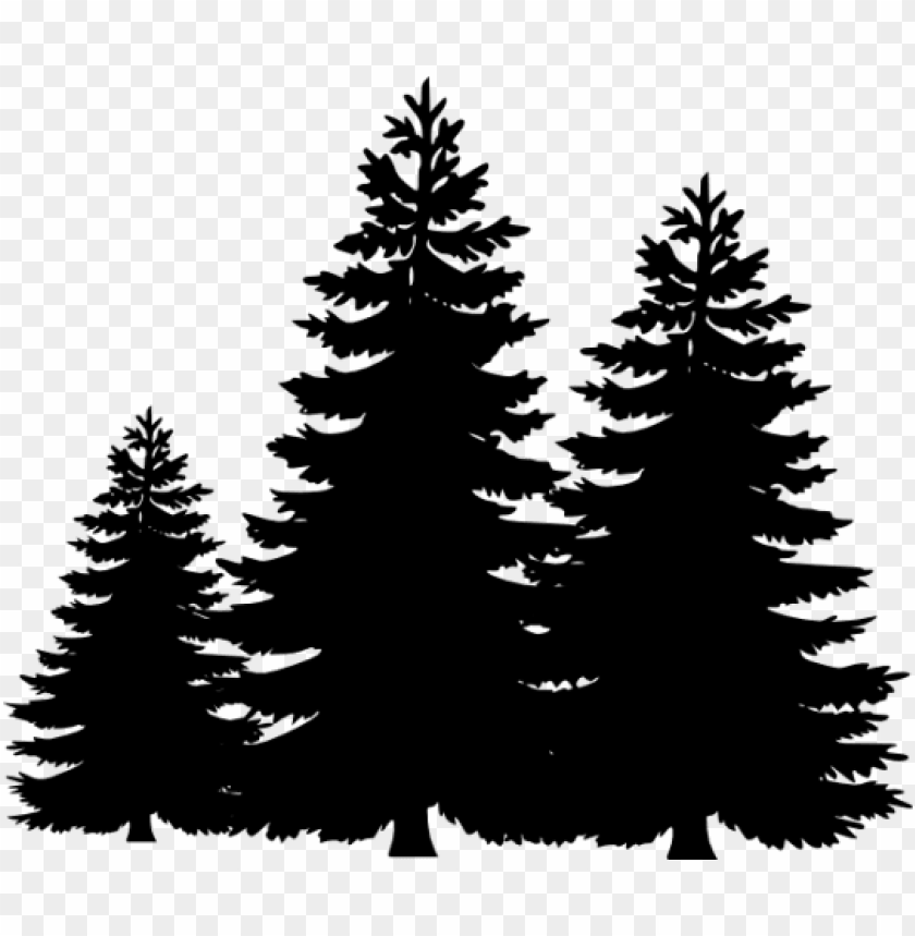 Detail Pine Tree Clipart Black And White Nomer 43