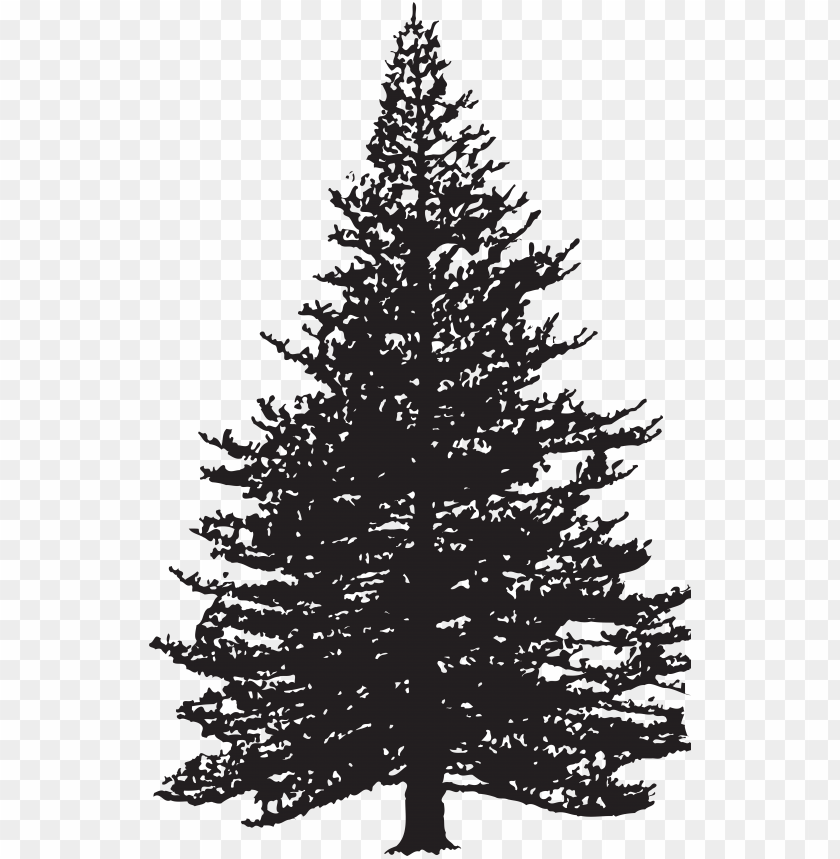 Detail Pine Tree Clipart Black And White Nomer 5