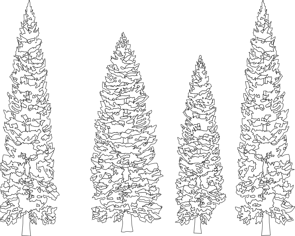 Detail Pine Tree Clipart Black And White Nomer 45
