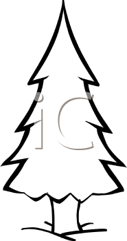 Detail Pine Tree Clipart Black And White Nomer 48