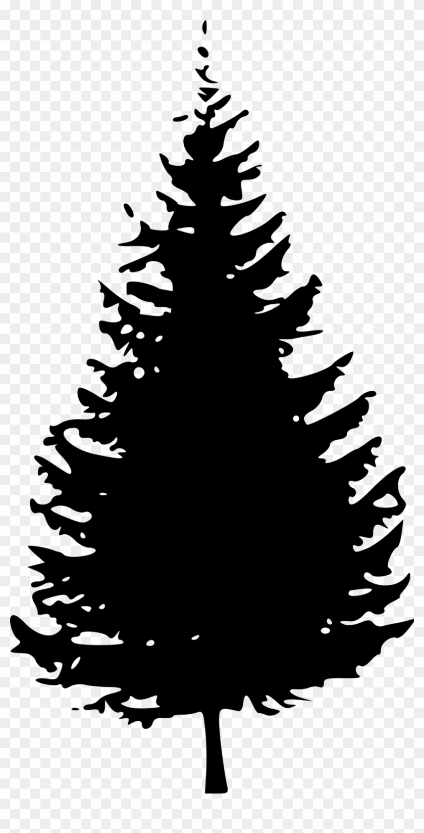 Detail Pine Tree Clipart Black And White Nomer 6