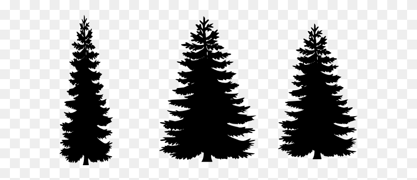 Detail Pine Tree Clipart Black And White Nomer 8