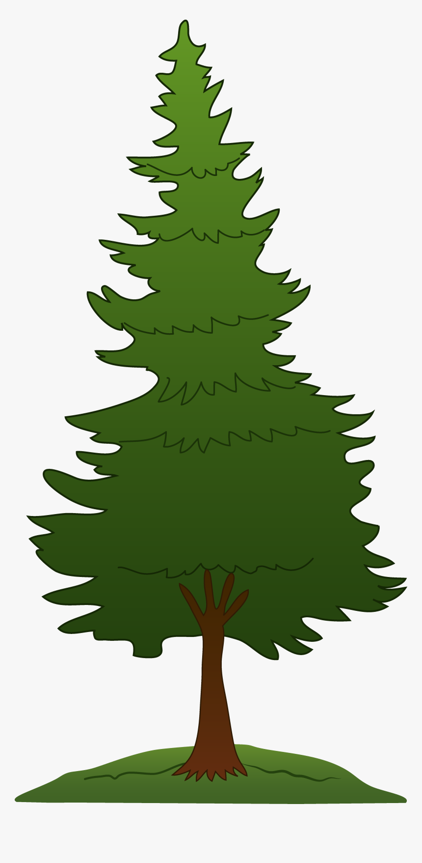 Detail Pine Tree Clipart Transparent Background Nomer 12