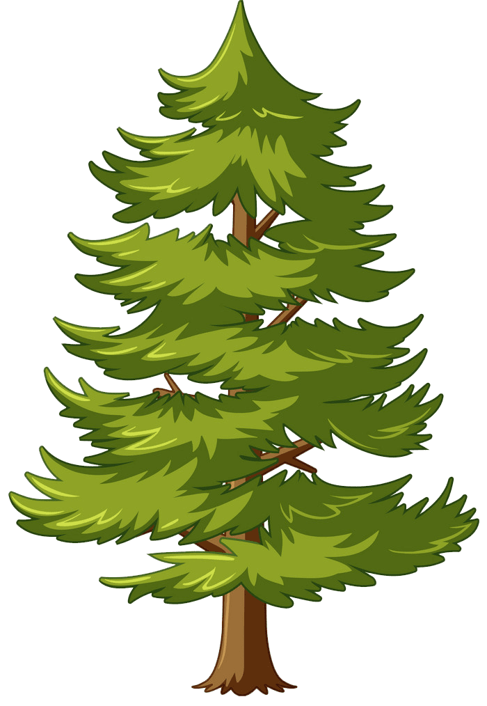 Detail Pine Tree Clipart Transparent Background Nomer 13