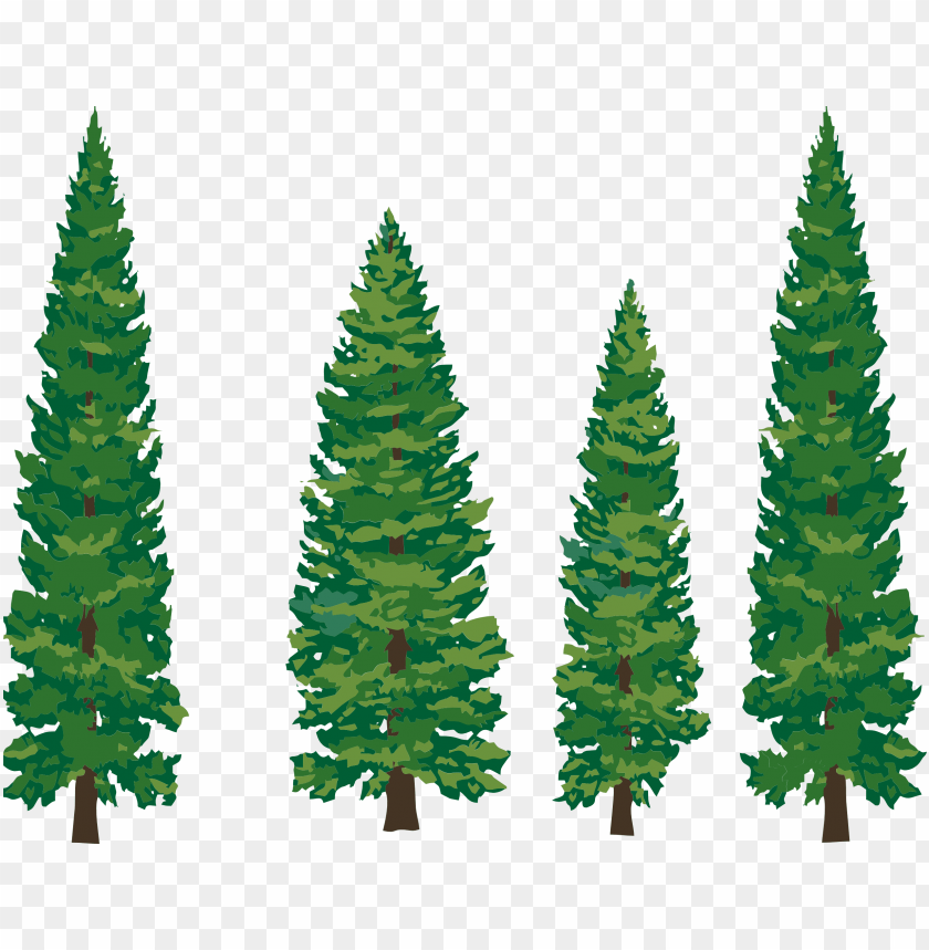 Detail Pine Tree Clipart Transparent Background Nomer 16