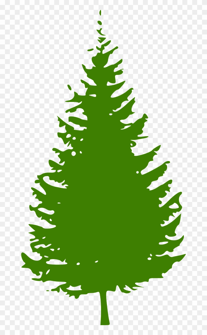 Detail Pine Tree Clipart Transparent Background Nomer 18