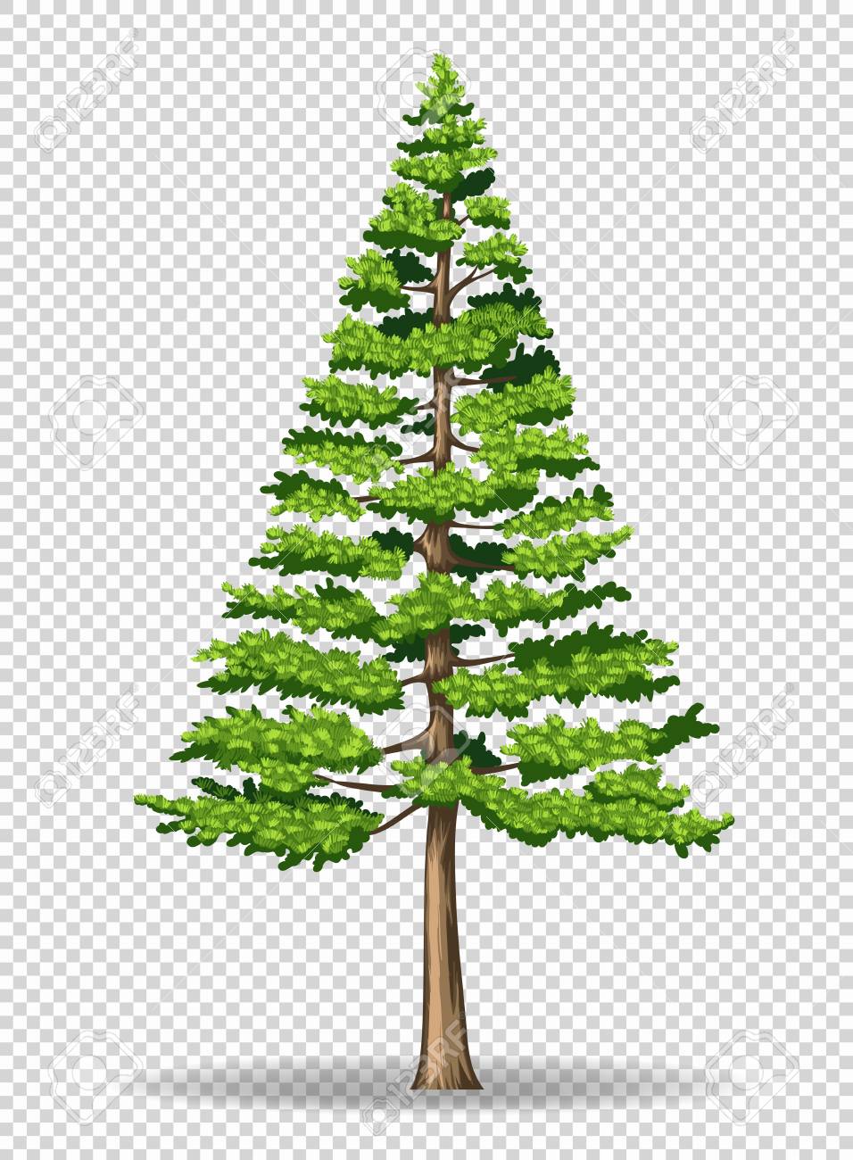 Detail Pine Tree Clipart Transparent Background Nomer 42