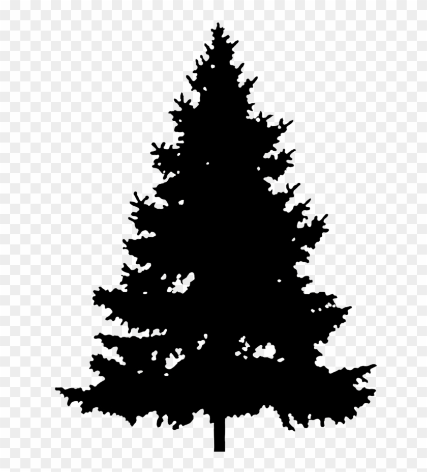 Detail Pine Tree Clipart Transparent Background Nomer 47